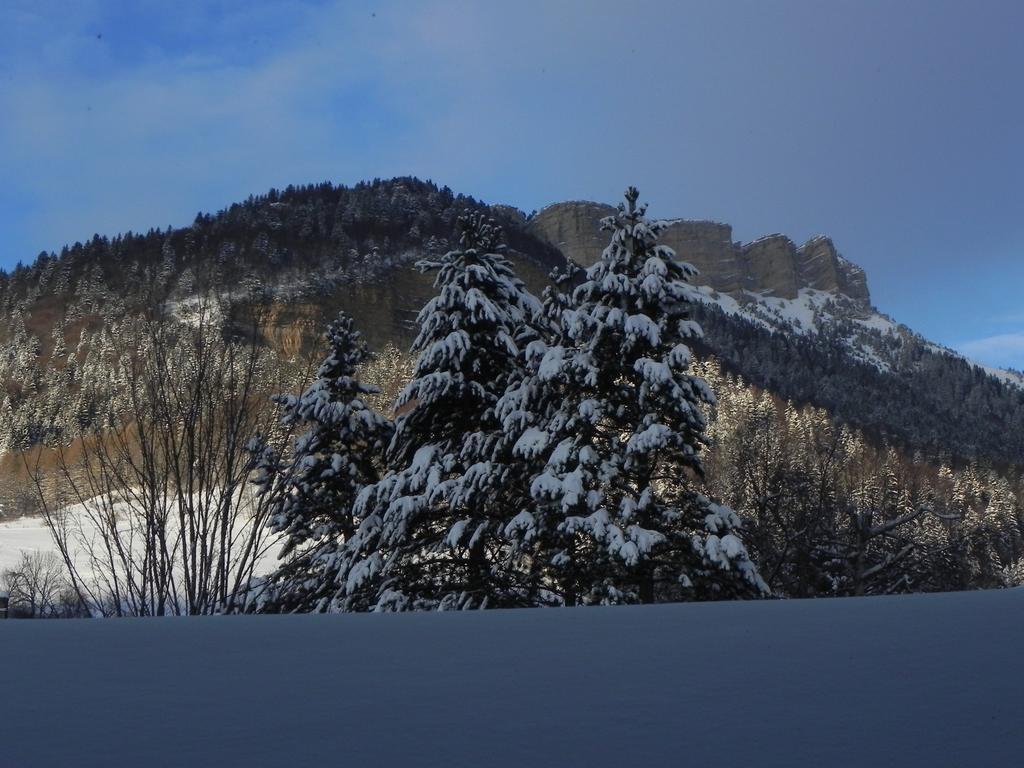 Hotel Des Skieurs Le Sappey-en-Chartreuse Luaran gambar