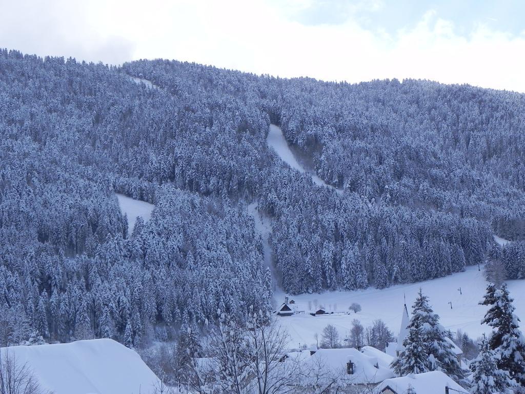 Hotel Des Skieurs Le Sappey-en-Chartreuse Luaran gambar